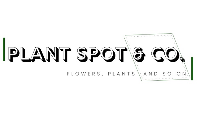 Plant Spot & Co.