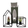 Tillandsia house square frame gift package per 6 pieces